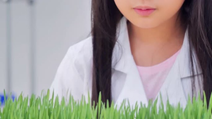 学校生物实验。如何让孩子们感兴趣在生物教室学习。女孩种植和照顾，等待，观察成分和成长。教育，技术，团