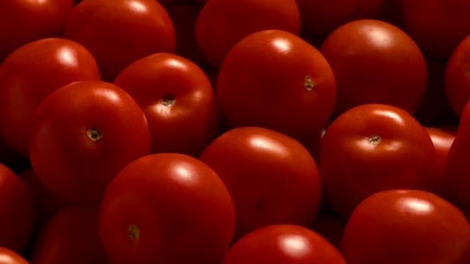 一堆西红柿移动镜头