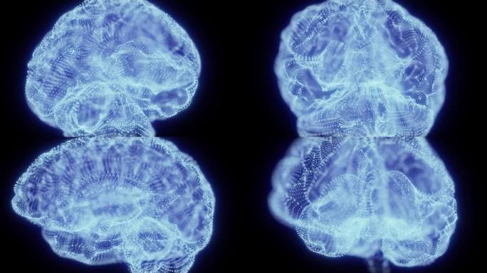 人脑的旋转全息图，人脑由发光发光的光粒子旋转360度形成，无缝循环4k动画