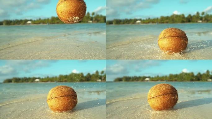 慢动作: 椰子从树上掉下来后，到处都是清澈的海水