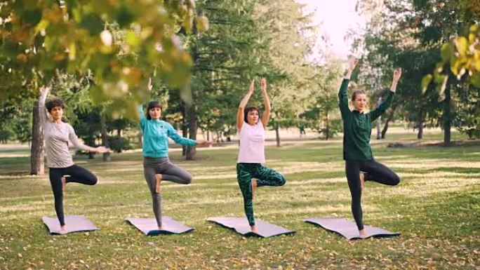 多莉在公园瑜伽课上，美丽的女性瑜伽士站在瑜伽垫上，姿势在Namaste举起手臂。青年与自然概念。