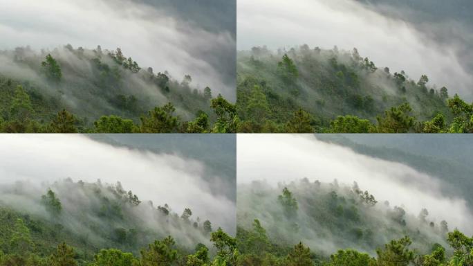时间流逝的雾在泰国雨林山上移动。