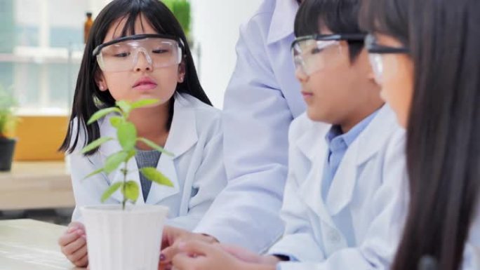 学校生物学实验。向儿童解释生物学。如何使儿童感兴趣在生物学教室学习。孩子们种植和照顾，等待，观察成分