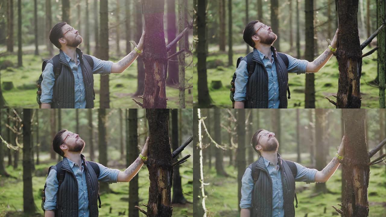 旅行的人在秋天的日子里徒步穿越松树林