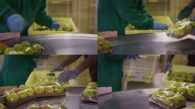 在水果生产工厂中，用手套关闭工人的手正在包装优质的生态和生物梨
