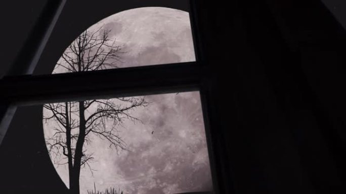 繁星点点的夜空中只有一棵树的大月亮