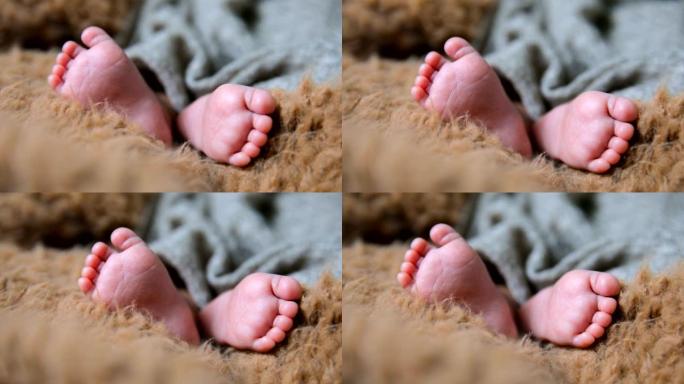 新生婴儿的小脚