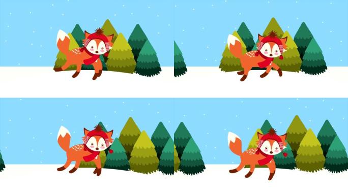 圣诞快乐，狐狸在雪景