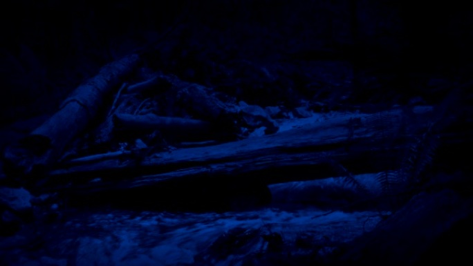野生河流，夜晚倒下的原木