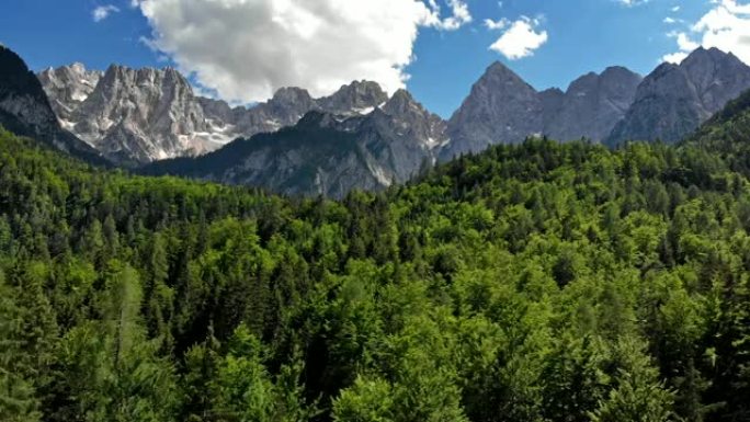 朱利安阿尔卑斯山的航拍。斯洛文尼亚特里格拉夫国家公园的松树和蓝色多云的天空。4K, UHD