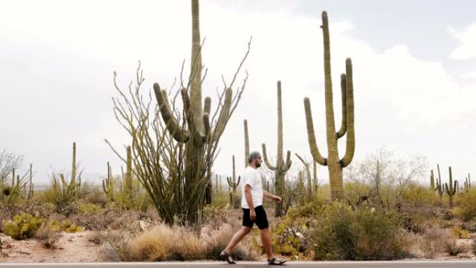 慢动作宽镜头，年轻的游客沿着亚利桑那州国家公园路令人惊叹的大仙人掌沙漠行走。