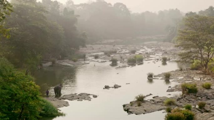 斯里兰卡阳光河中的WS大象涉水