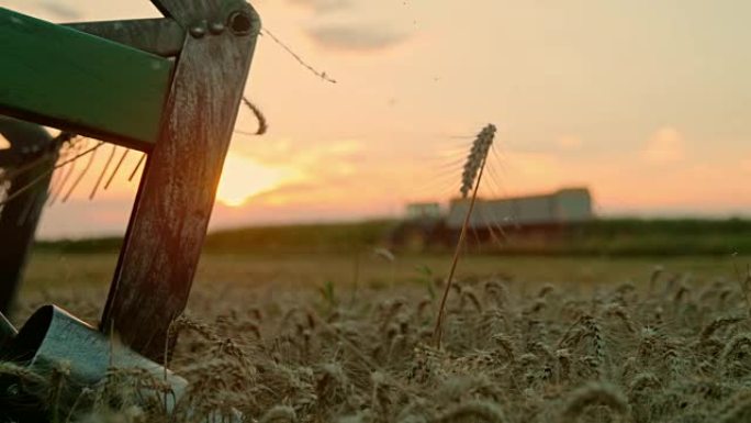 SLO MO联合收割机在日落时切割小麦
