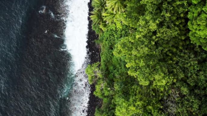 海浪撞击热带茂密丛林海岸线的俯视图