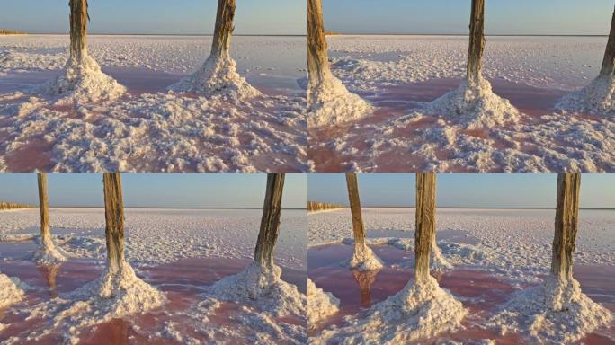 粉红色盐湖上的盐提取地点。Steadicam镜头，4K