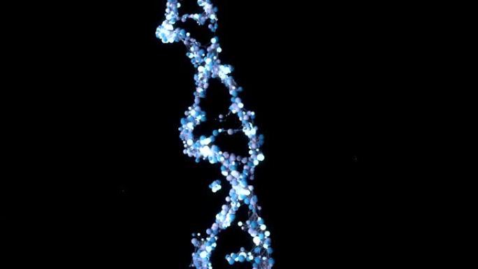 摘要DNA分子。组织进化