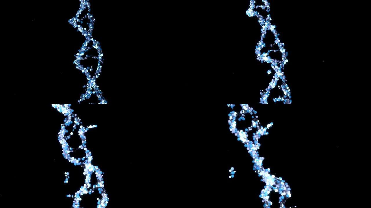 摘要DNA分子。组织进化