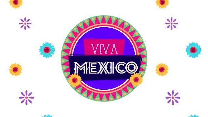 viva墨西哥动画与鲜花和圆形框架