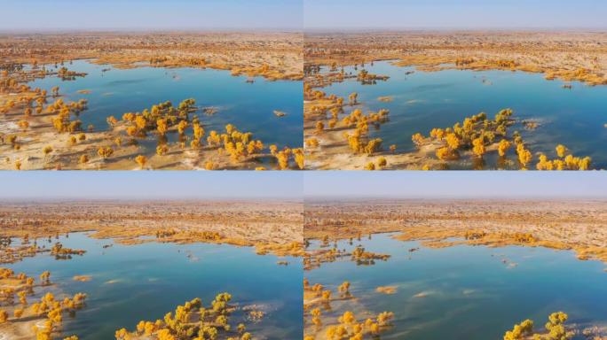 新疆鸟瞰图秋季秋意秋景河景滩涂河滩