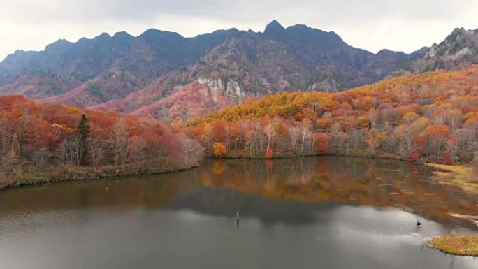 日本长野Kagamiike pond的多莉在秋天的鸟瞰图。