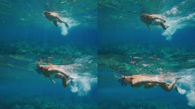美丽的年轻女子在海洋中浮潜