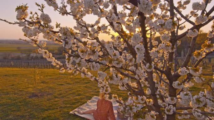 WS年轻女子在日落时田园诗般的乡村山坡上樱花树下的野餐毯上放松