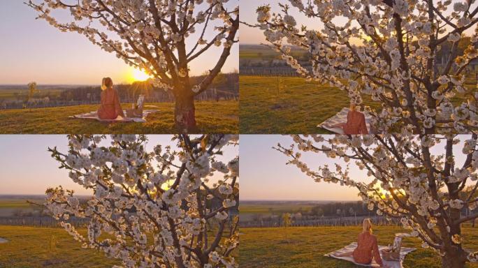 WS年轻女子在日落时田园诗般的乡村山坡上樱花树下的野餐毯上放松