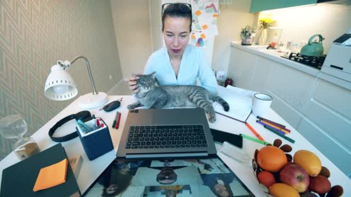 一位带着猫的女士正在家里参加一个在线会议。一组同事使用视频会议应用程序进行交谈。在家工作，新型冠状病