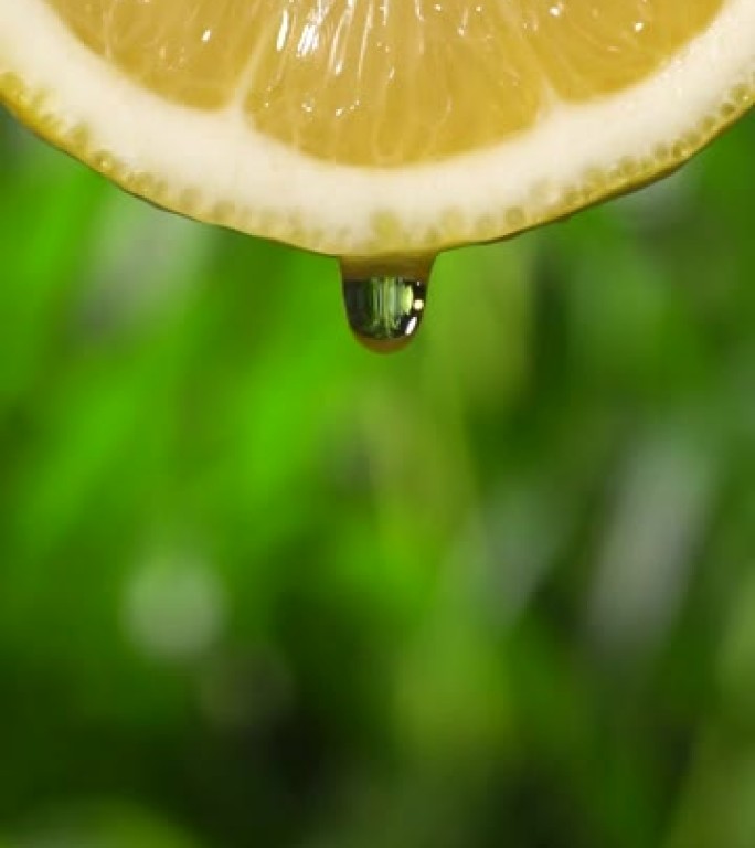 垂直和慢动作: 一滴柠檬片在模糊叶子上的液体