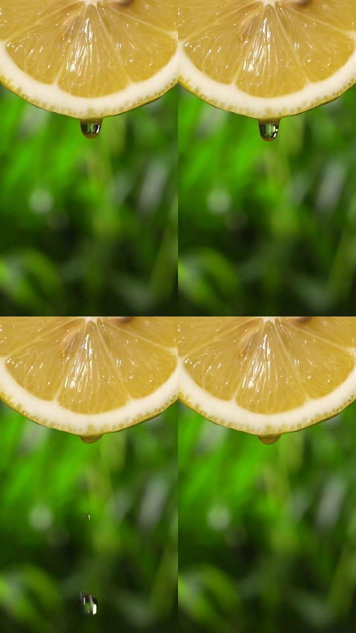 垂直和慢动作: 一滴柠檬片在模糊叶子上的液体