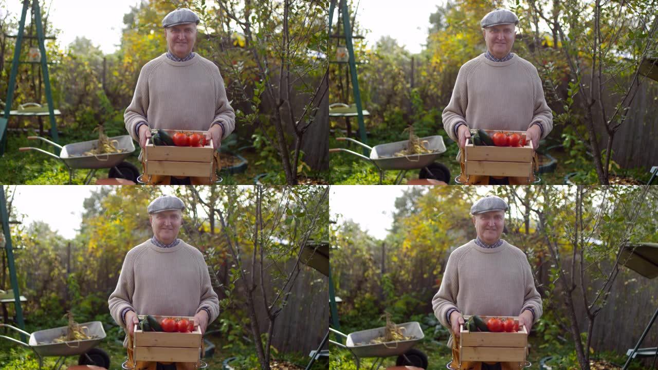 白人老人与收获的西红柿和黄瓜合影