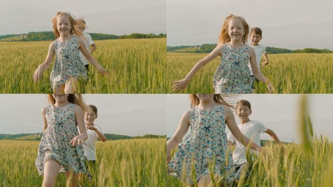无忧无虑的男孩和女孩在阳光明媚的田园诗般的乡村麦田里奔跑