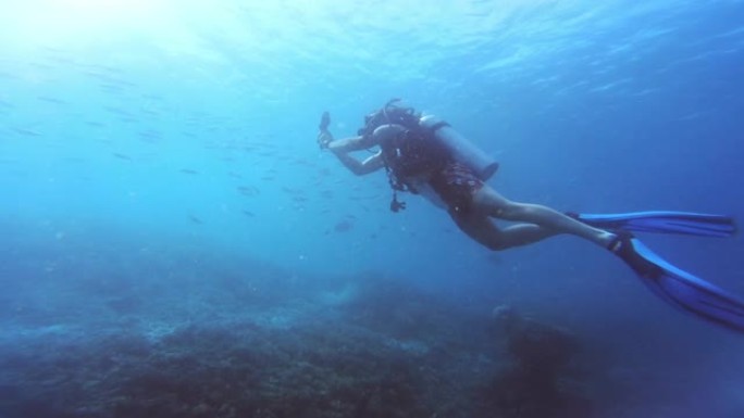 一次潜水享受生活浅海