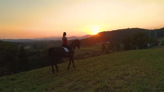 空中: 沿着棕色的马和女孩在阳光明媚的乡村小跑