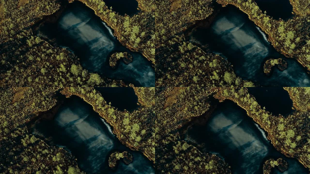 空中电影无人机视图的冰冻沼泽在当地的秋天森林。美丽的乡村景观，白天有绿色的针叶树和冰冻的水。顶视图。