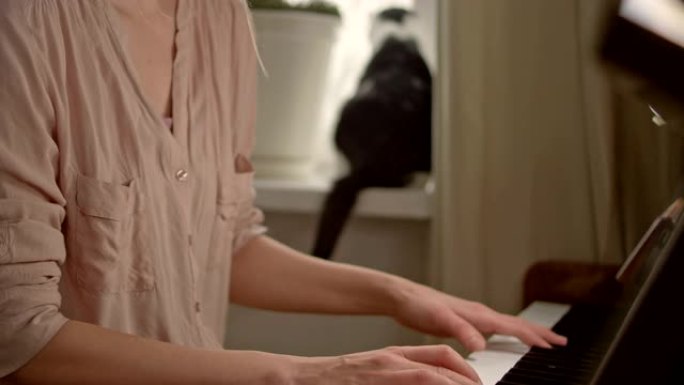 玩古典钢琴的女人。背景中的猫宠物。