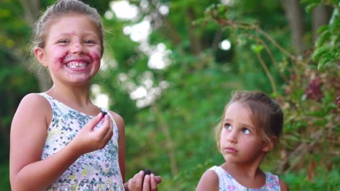 两个快乐的小女孩姐妹的真实慢镜头正在吃自己刚收获的新鲜生物黑莓
