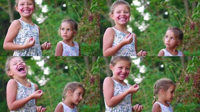 两个快乐的小女孩姐妹的真实慢镜头正在吃自己刚收获的新鲜生物黑莓