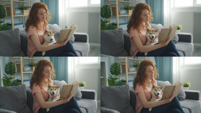 微笑的女孩在家看书坐在沙发上抚摸可爱的小狗