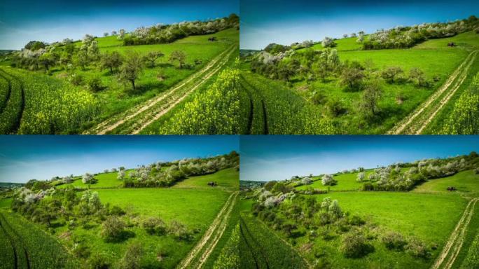 德国埃菲尔 (Eifel) 春季乡村景观的空中