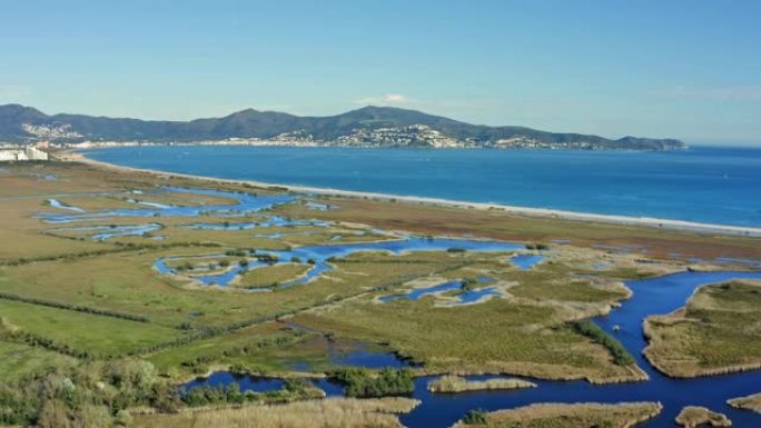 布拉瓦海岸沼泽地的鸟瞰图