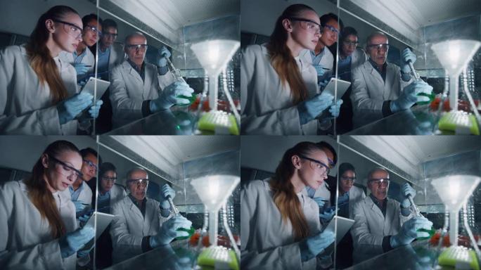 科学家的肖像正在对试管中的DNA和分子进行分析，并在实验室中显示出结果