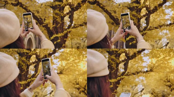 亚洲旅游妇女拿着智能手机，在日落时拍摄秋叶颜色的照片。