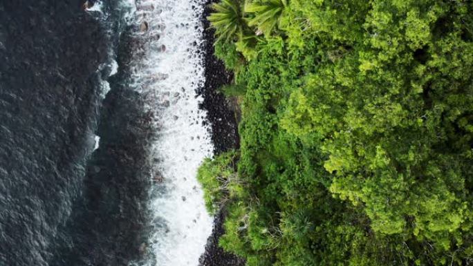 海浪撞击热带茂密丛林海岸线的俯视图