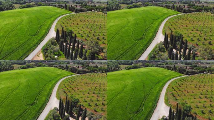 骑自行车的人在乡村道路上骑行的空中电影无人机视图。背景与农村绿地与房屋。晴天。