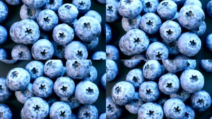 特写蓝莓实拍视频果实果子丹东生鲜