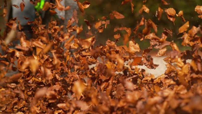 低角度: 当山地自行车手沿着道路行驶时，干燥的秋天彩色叶子在空中飞翔。