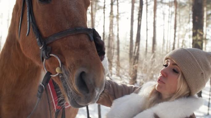 冬日快乐的女人在森林里爱抚马