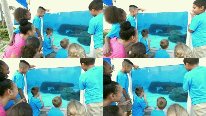 去海洋公园看海龟的实地考察课程