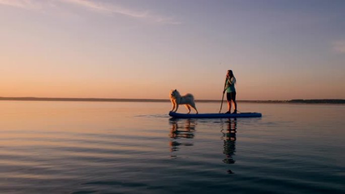 一只狗和它的情妇站在桨板上